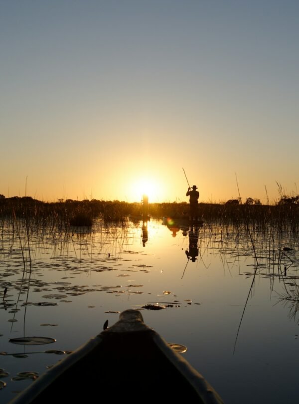 Mokoro on sunset by Xplorer's Edge Tours and Safaris